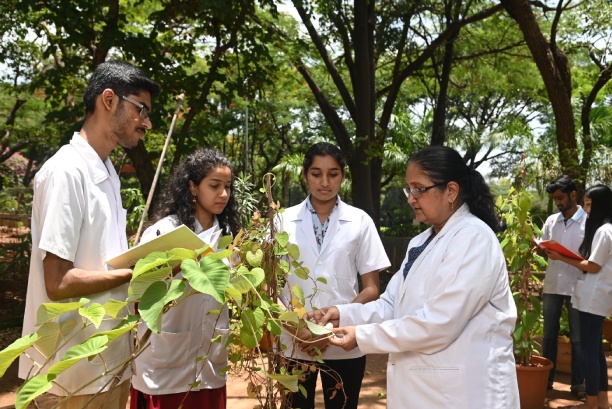 Medicinal Garden